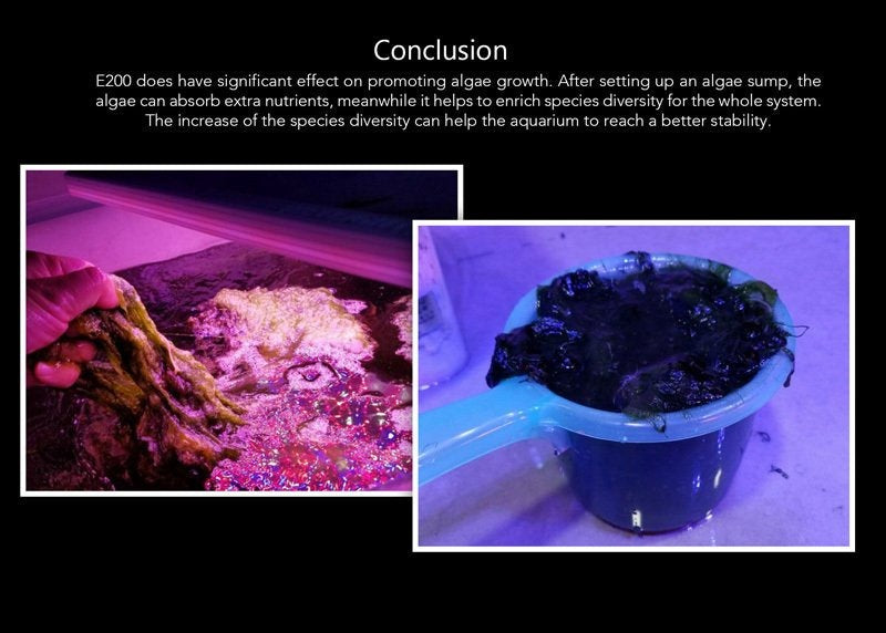 Zetlight E200S Algae – cylinder lamp