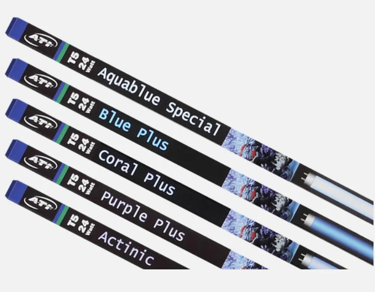 Actinic-BULBS