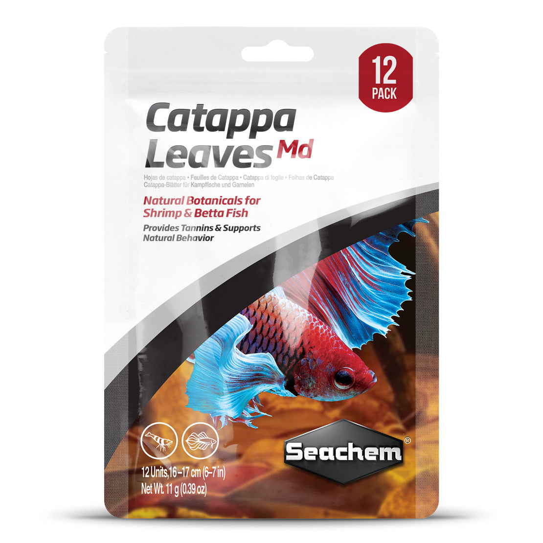 Catappa Leaves Medium
