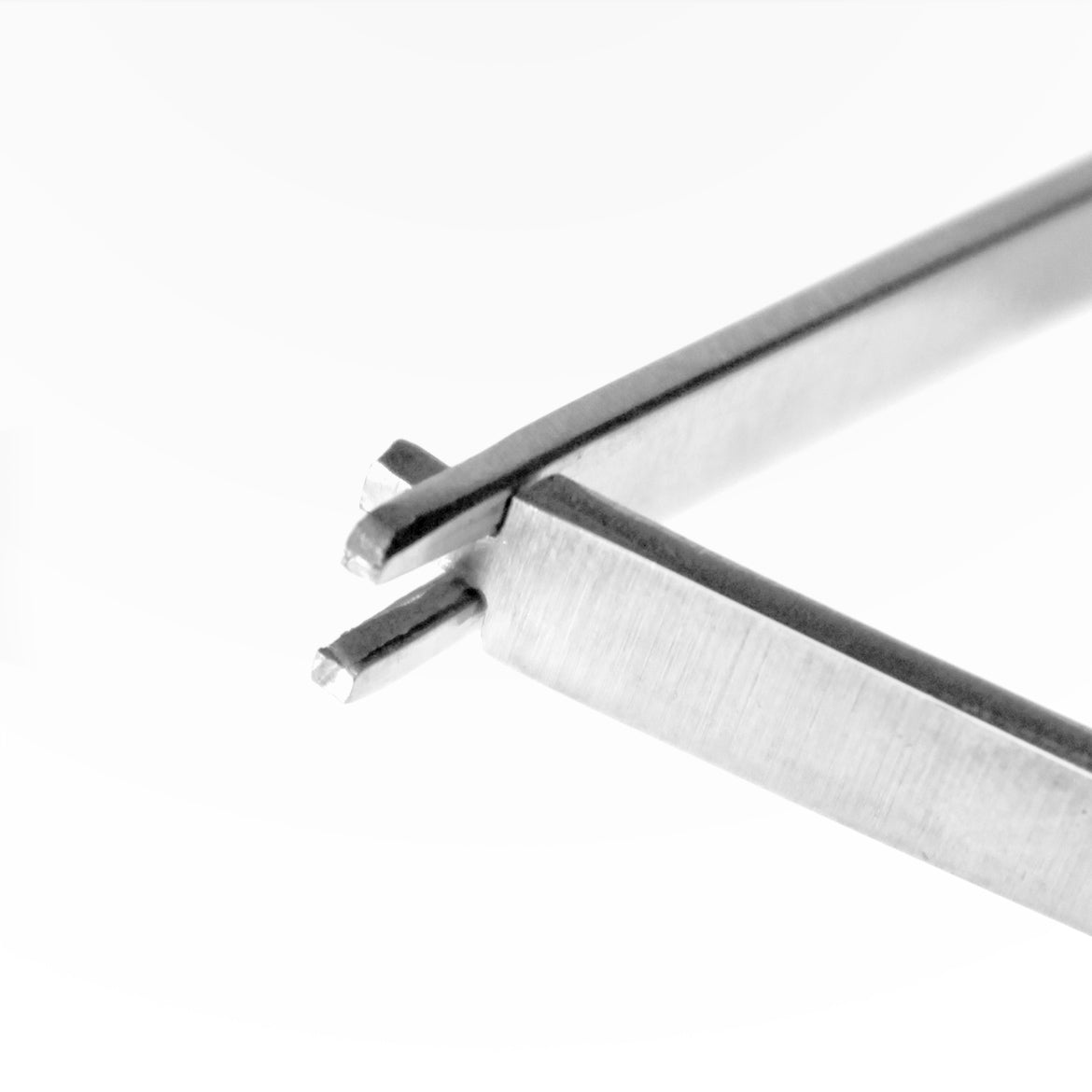 Coral Cutter Crescent