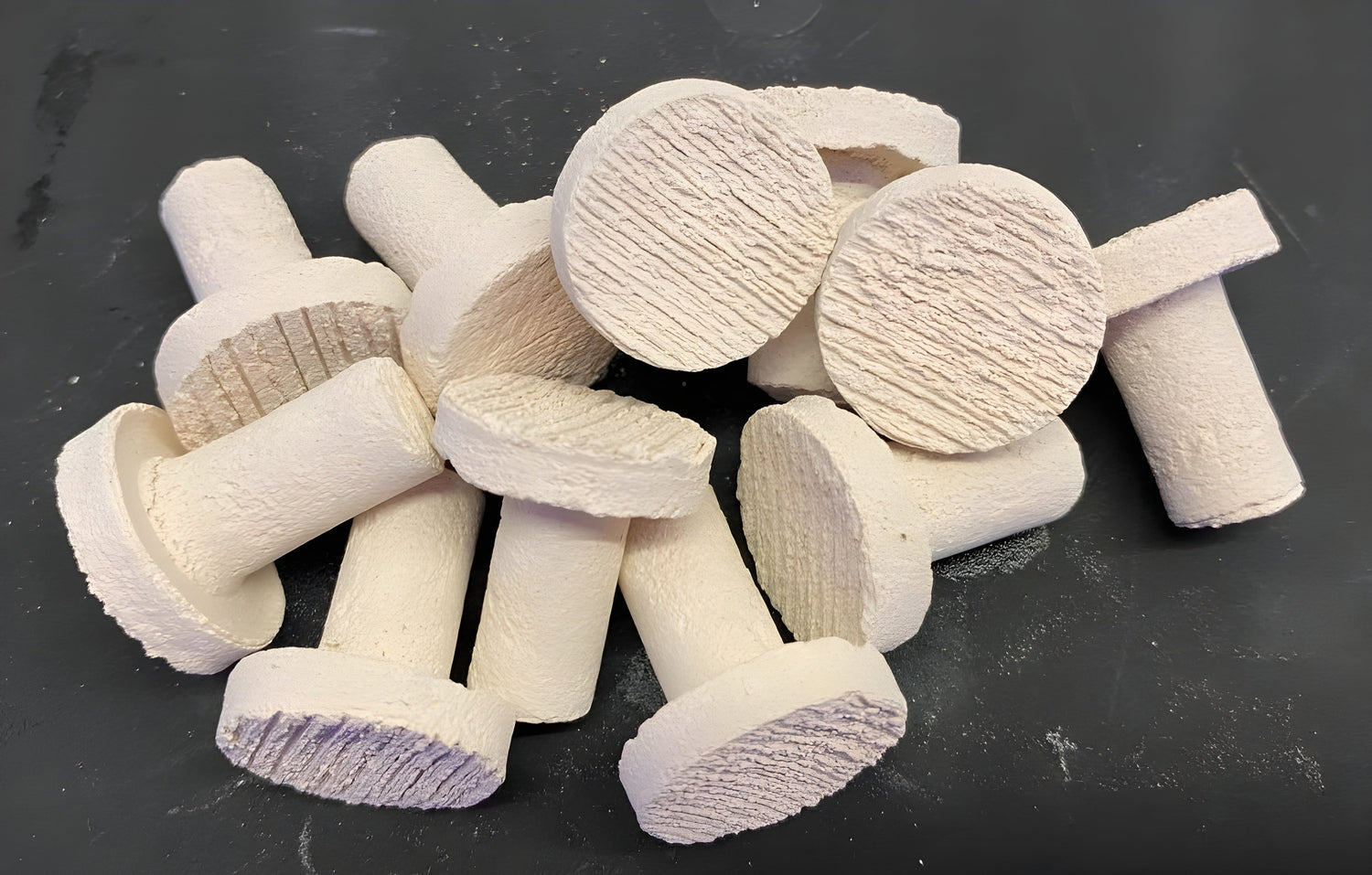 Frag Plugs And Anemone Cups