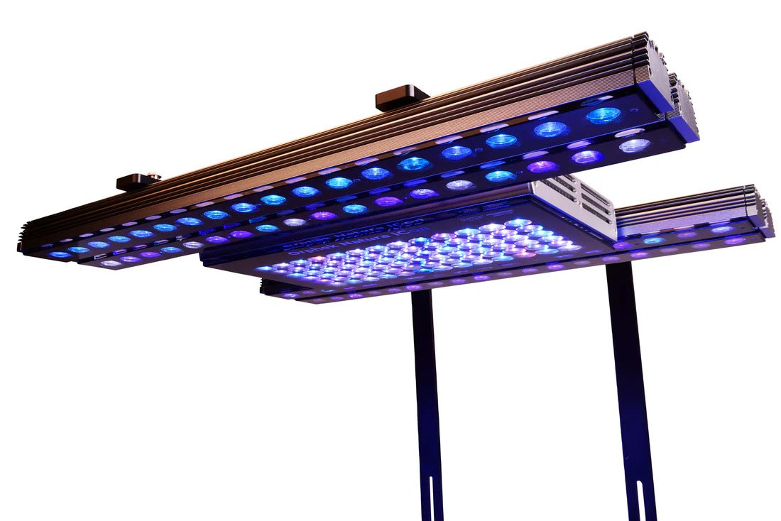 Universal Fixing Brackets & Mounting Arms 2-in-1 Kit - Order in basis only - FREE Shipping