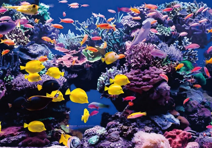 Keloray AL500 - Large Tank LED lighting