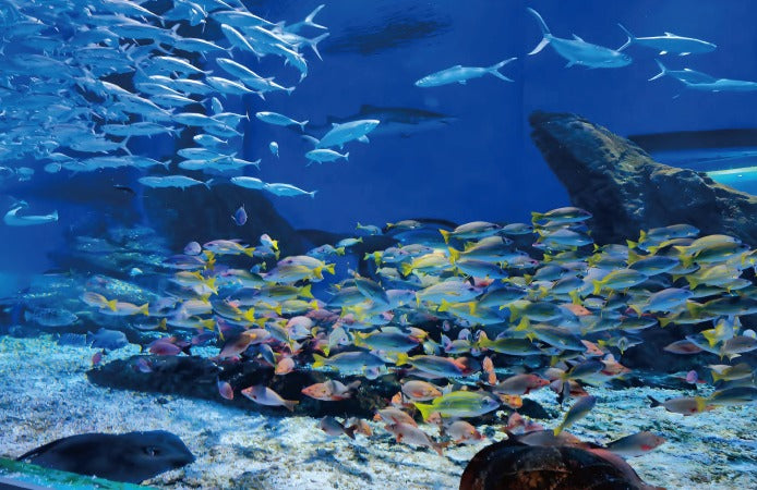 Keloray LED Lighting - JC Range