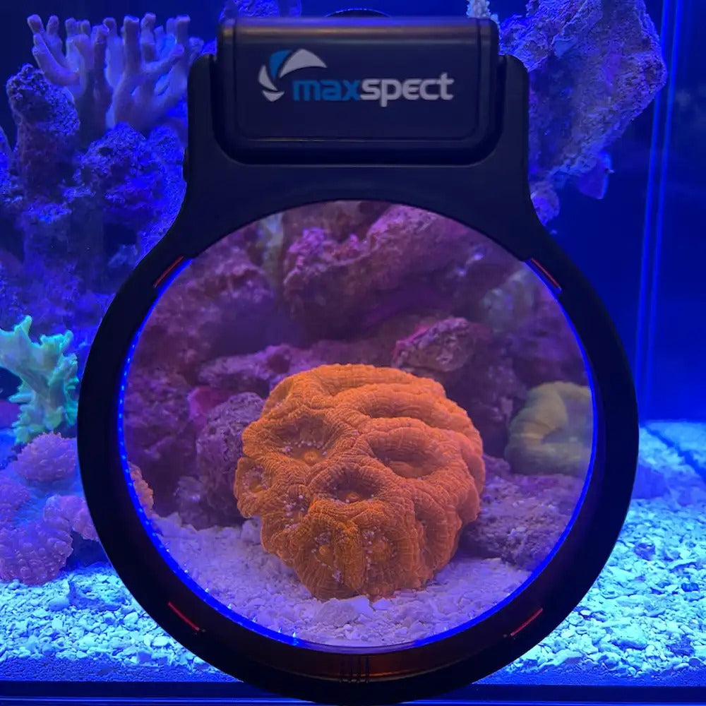 Maxspect filter Lense