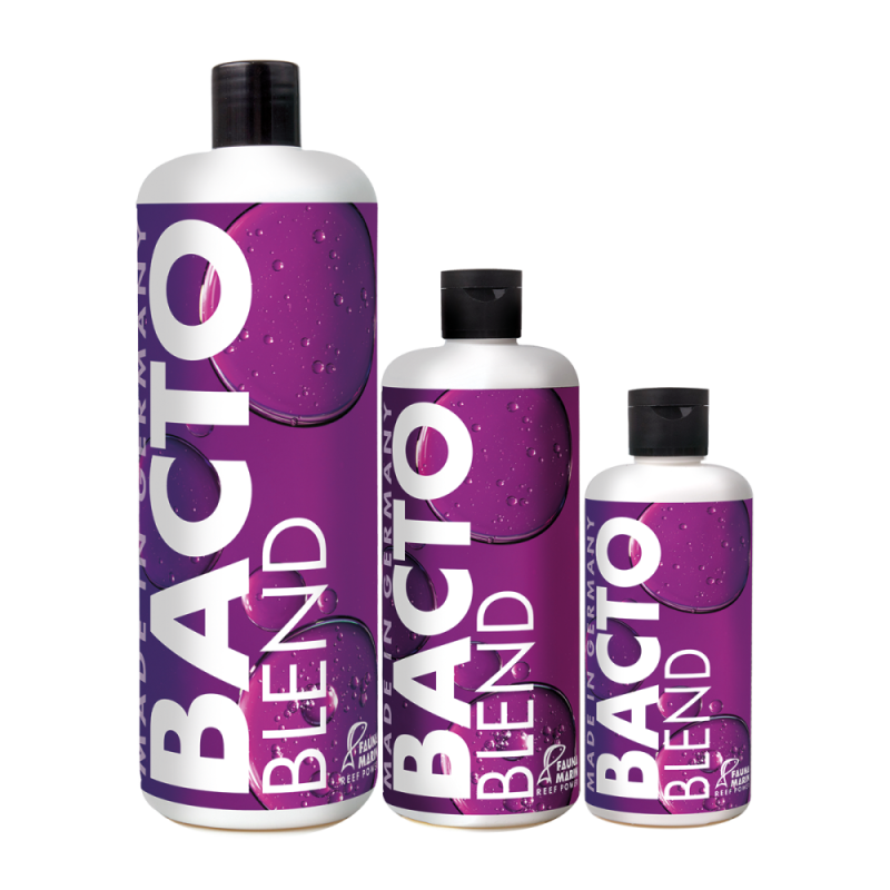 BACTO BLEND 500 ML