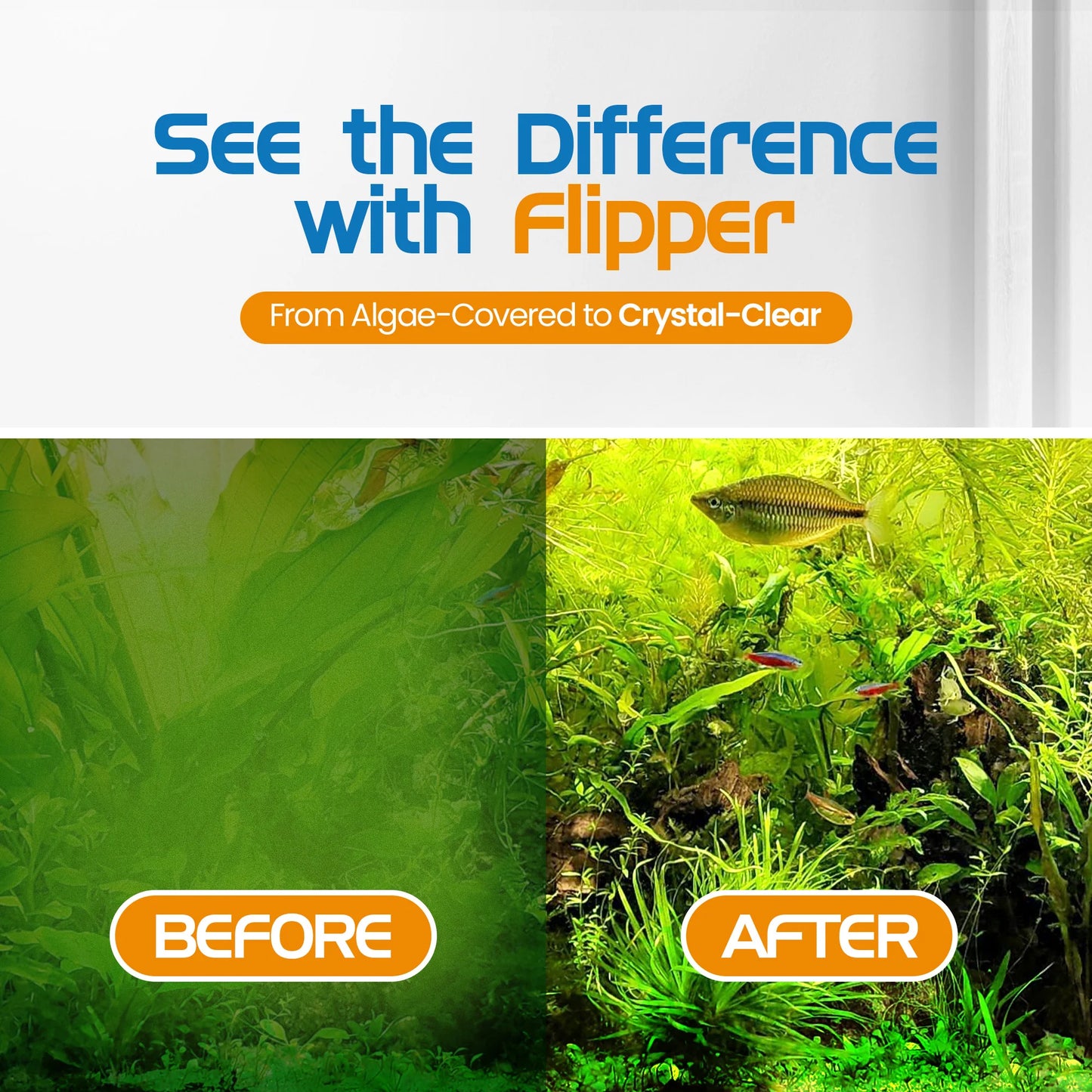 Flipper CC Platinum Scraper 18"