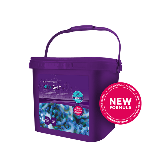 Reef Salt Plus