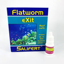 Salifert Flatworm exit